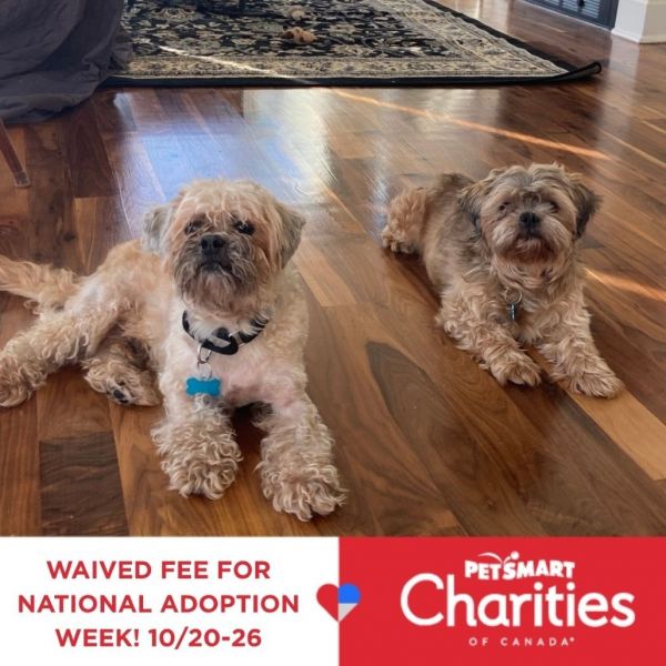 Major &amp; Chase - We&#39;re a bonded pair!