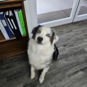 LUNA