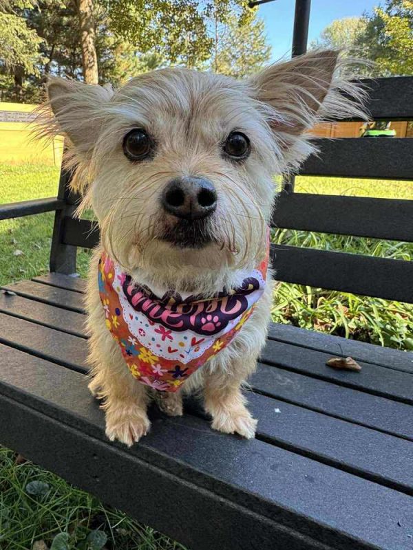 Wilma - Pending adoption