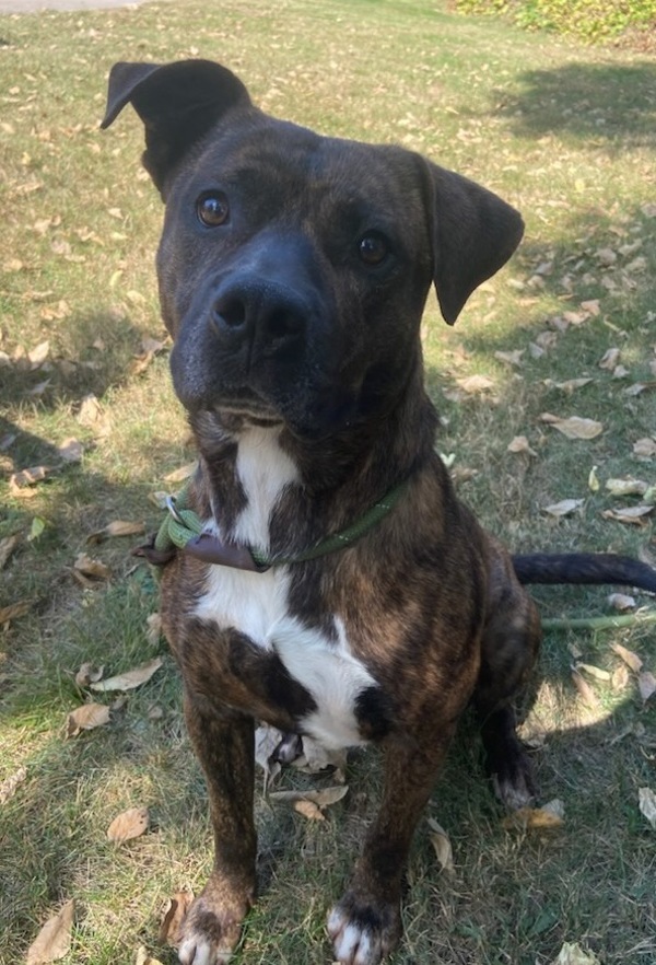 Max