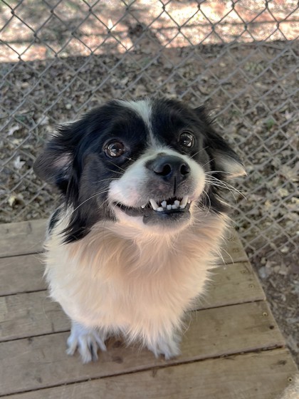 Marley