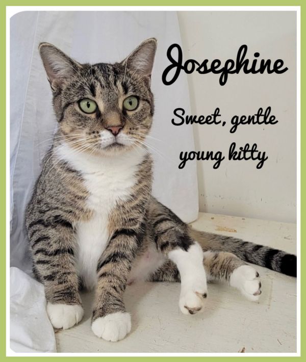 Josephinewillow Grove photo 1