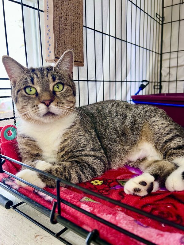 Josephinewillow Grove thumbnail 6