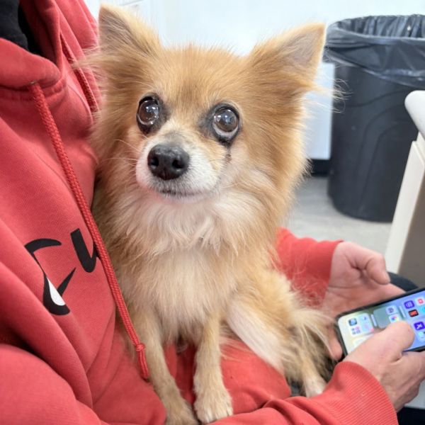 Moonlight thumbnail 2