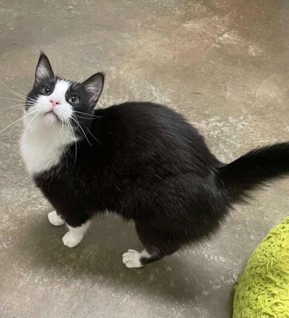 Florence thumbnail 2