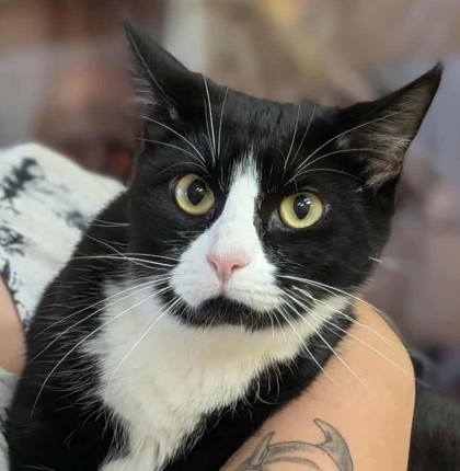 Marceline thumbnail 2