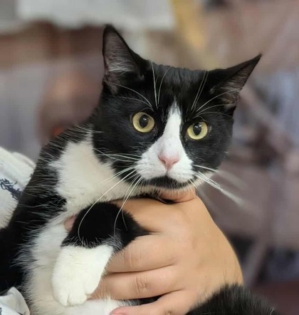 Marceline thumbnail 3