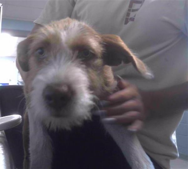 Mable