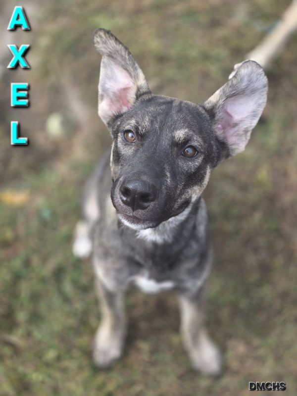 Axel