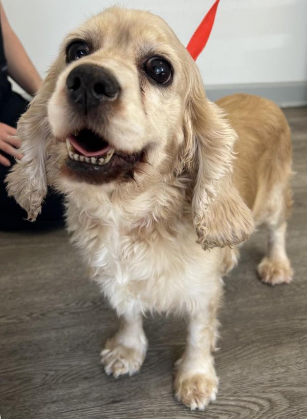 Felicity thumbnail 2