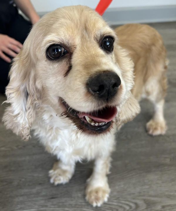 Felicity thumbnail 3