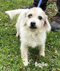 Belle