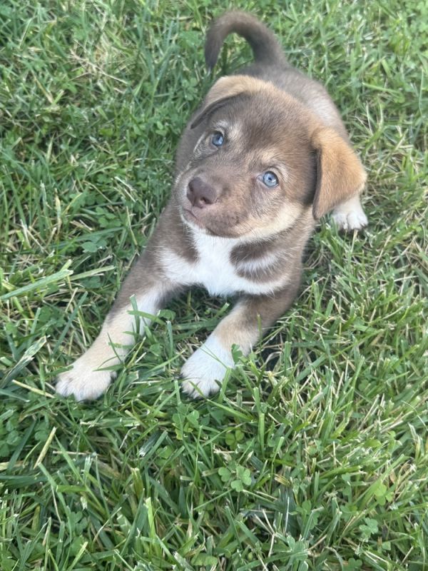 Zeus