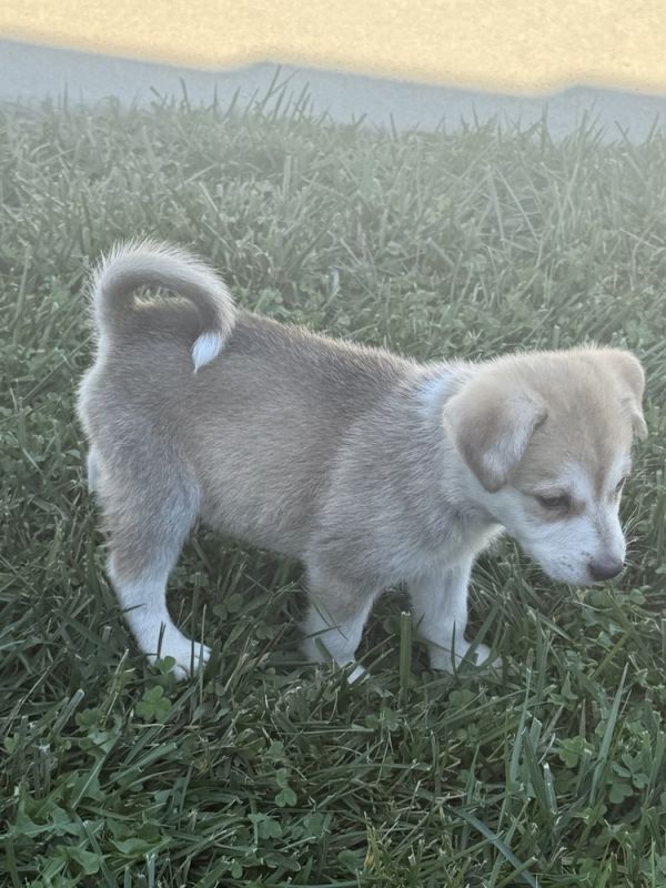 Anna Beth thumbnail 2