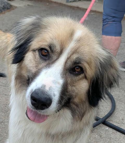 Miley Smiley thumbnail 2