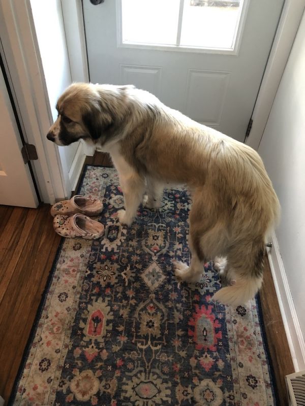 Miley Smiley thumbnail 3