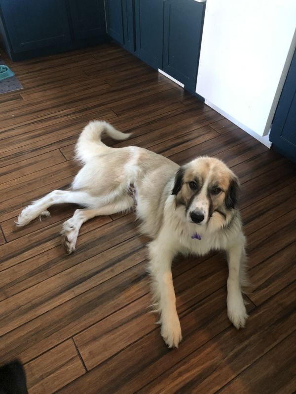 Miley Smiley thumbnail 4