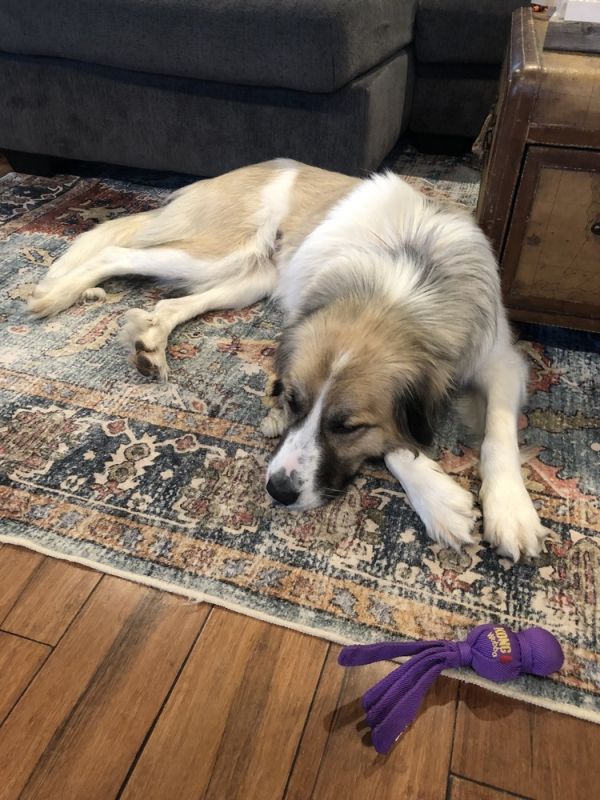 Miley Smiley thumbnail 5