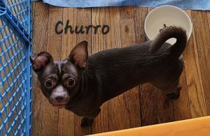 Churro