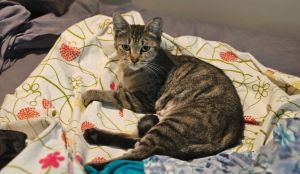 Selena *COURTESY POSTING*