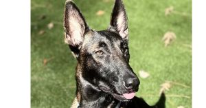 Felicity located in North Carolina (AKA Ellie)