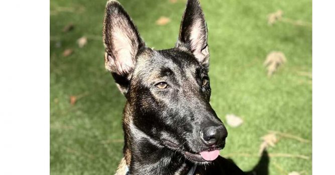 Felicity located in North Carolina (AKA Ellie)