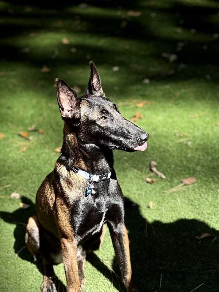 Felicity located in North Carolina (AKA Ellie) 3