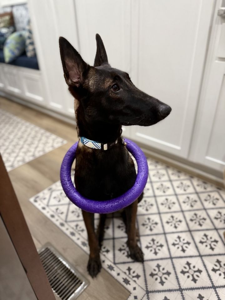 Felicity located in North Carolina (AKA Ellie) 4