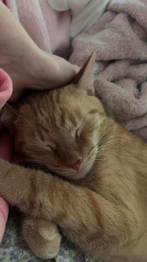 Terracotta thumbnail 2