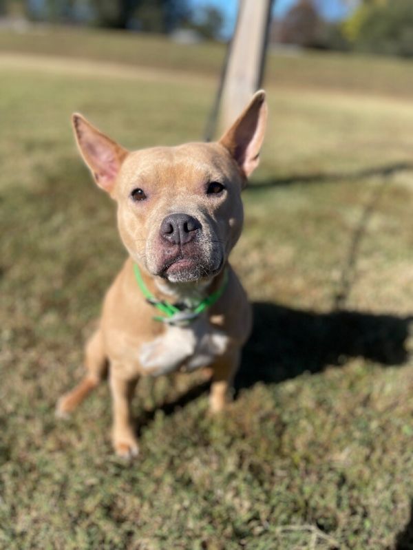 Mae Belle
