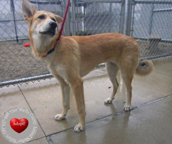 Goldie Yrly thumbnail 3