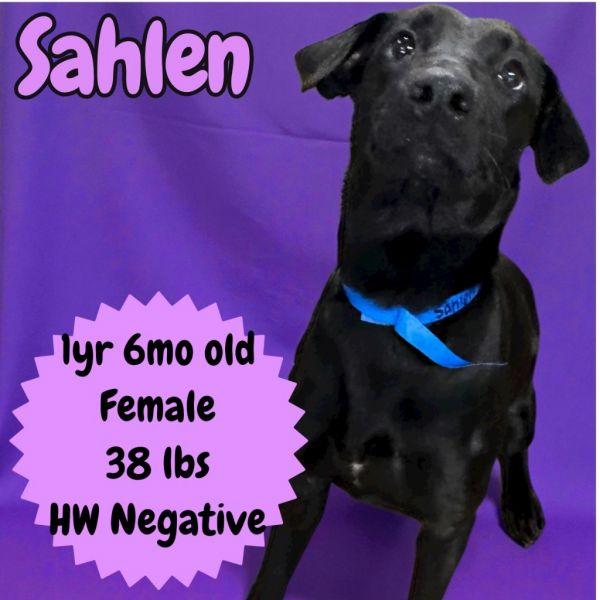 Sahlen