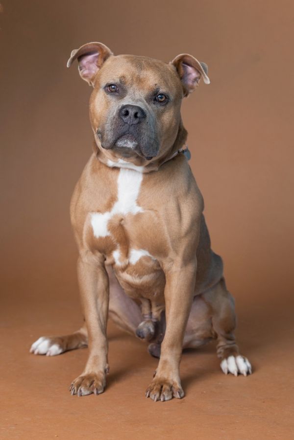 Mr. Gomez thumbnail 3