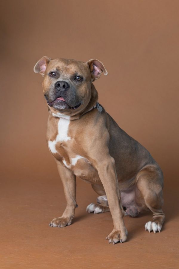 Mr. Gomez thumbnail 4