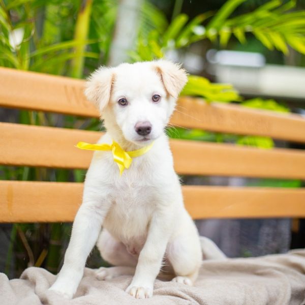 Winnie
