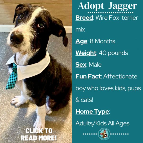 Jagger