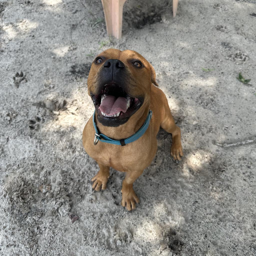 Winnie The Pooh 24463