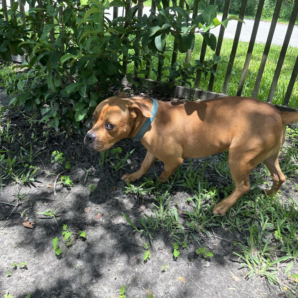 Winnie The Pooh 24463