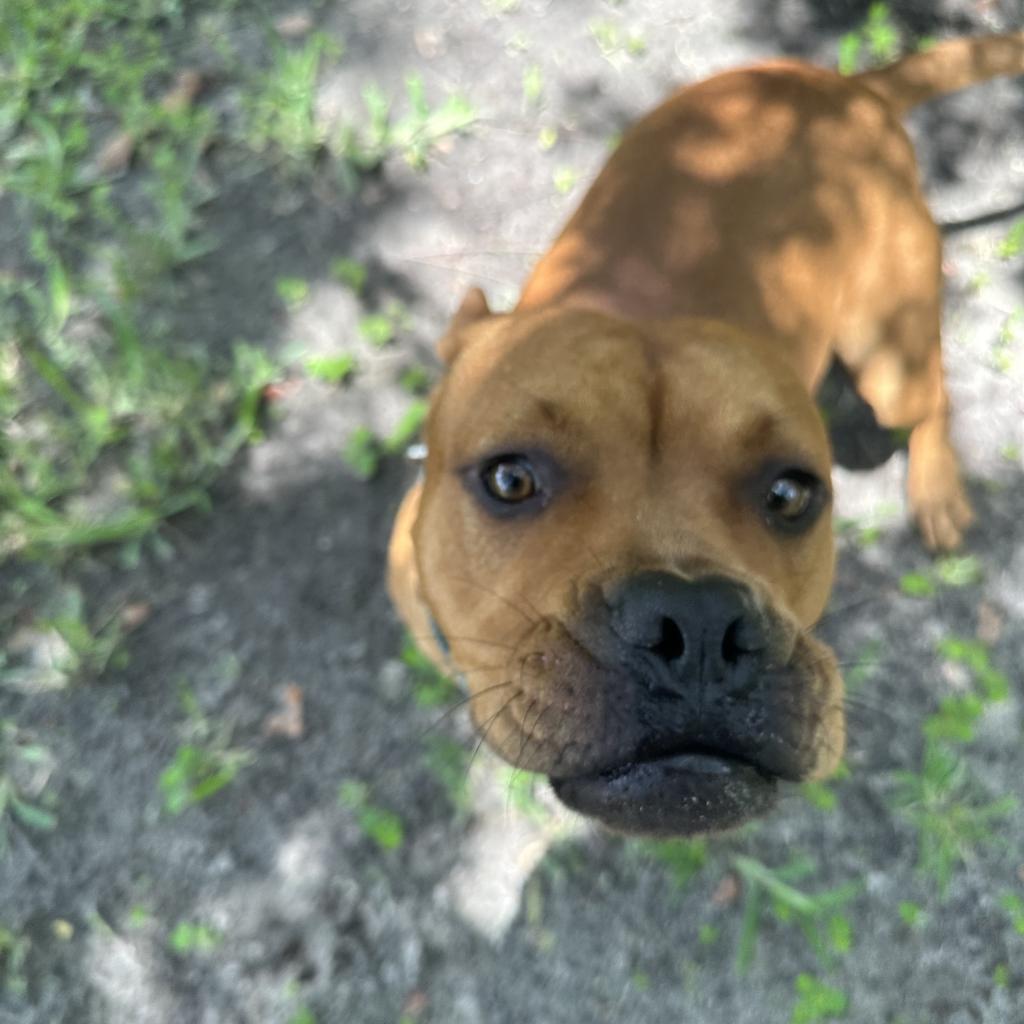 Winnie The Pooh 24463