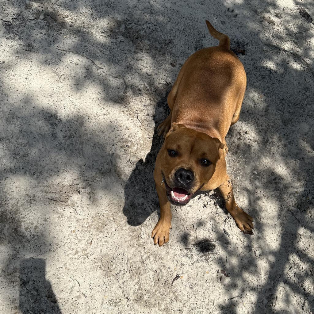 Winnie The Pooh 24463