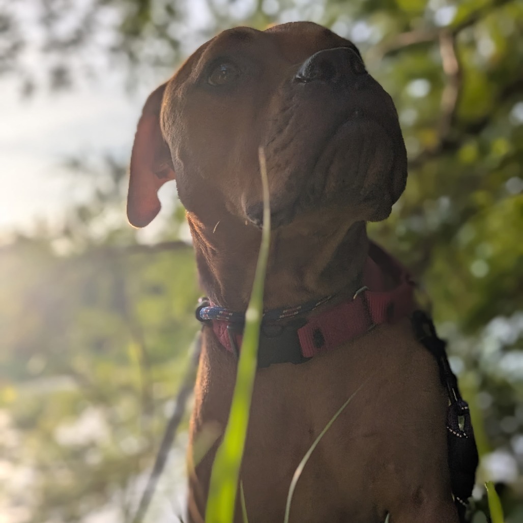 Winnie The Pooh 24463