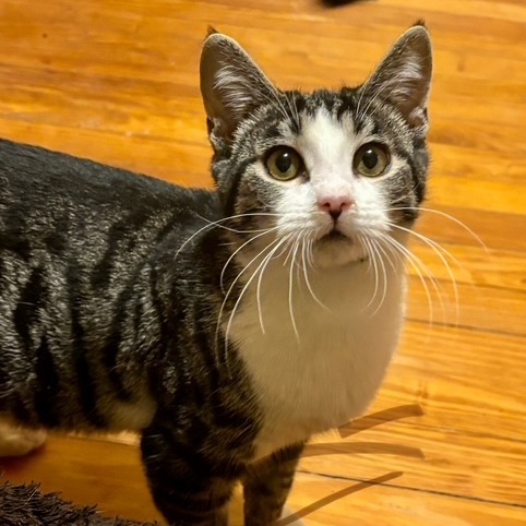 Nature Siblings: Sprout (16748)