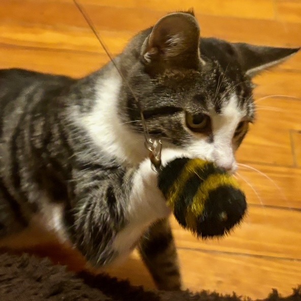 Nature Siblings: Sprout (16748)