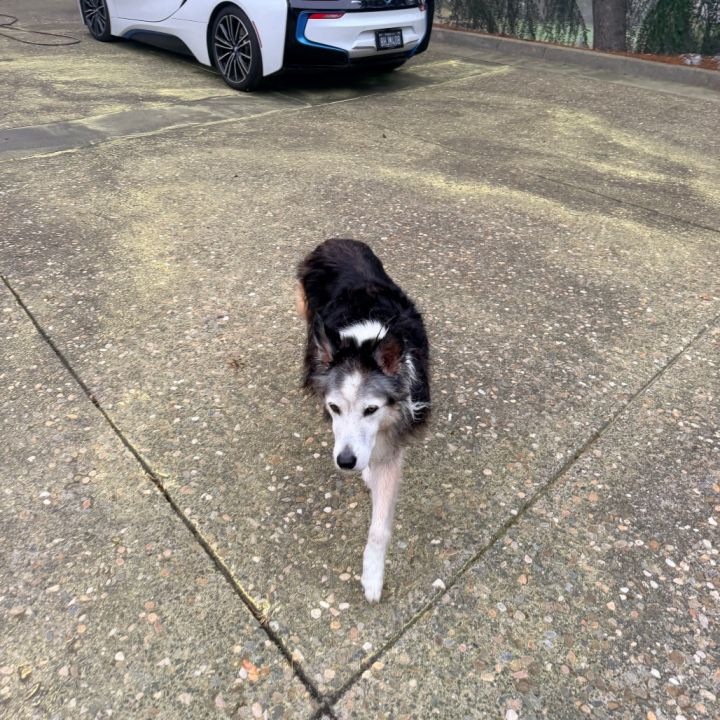 Earl Sweatshirt 13464 2