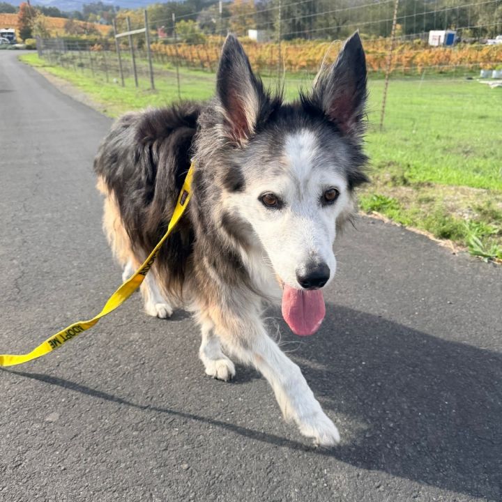 Earl Sweatshirt 13464 5