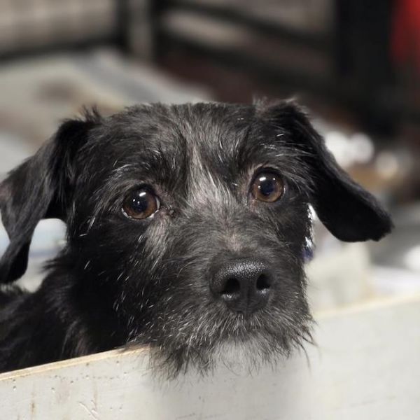 Catalina thumbnail 2