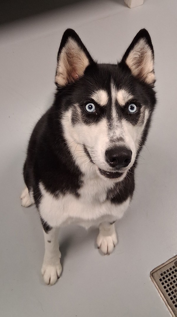 Mia