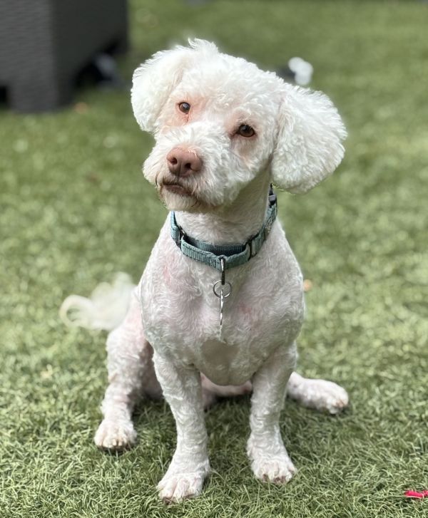 Dr. Seuss thumbnail 2