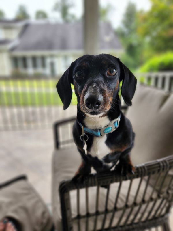 Roscoe3