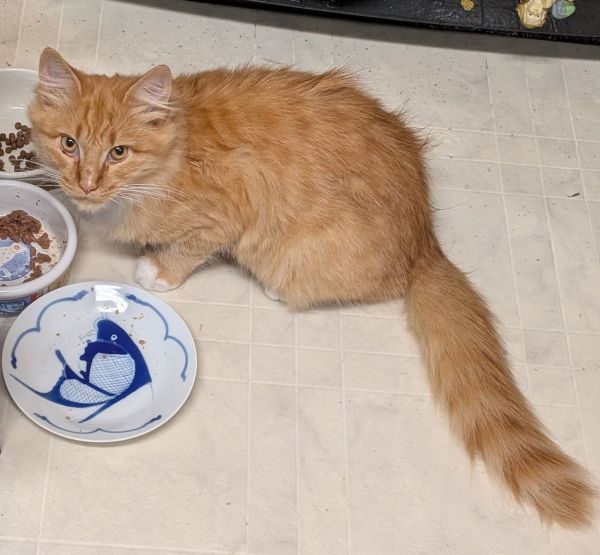 Simon Purr thumbnail 3